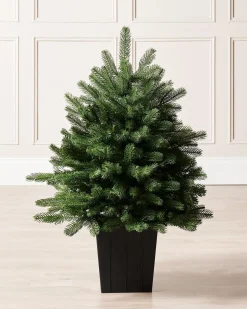 Mixed Pine Traditional Potted Christmas Tree, 3 Ft
