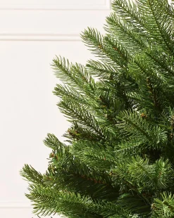 Mixed Pine Traditional Potted Christmas Tree, 3 Ft