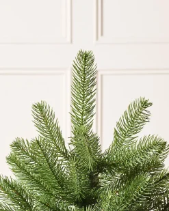 Mixed Pine Traditional Potted Christmas Tree, 3 Ft