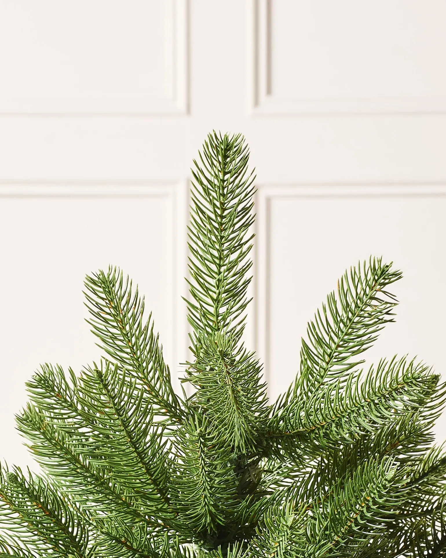 Mixed Pine Traditional Potted Christmas Tree, 3 Ft