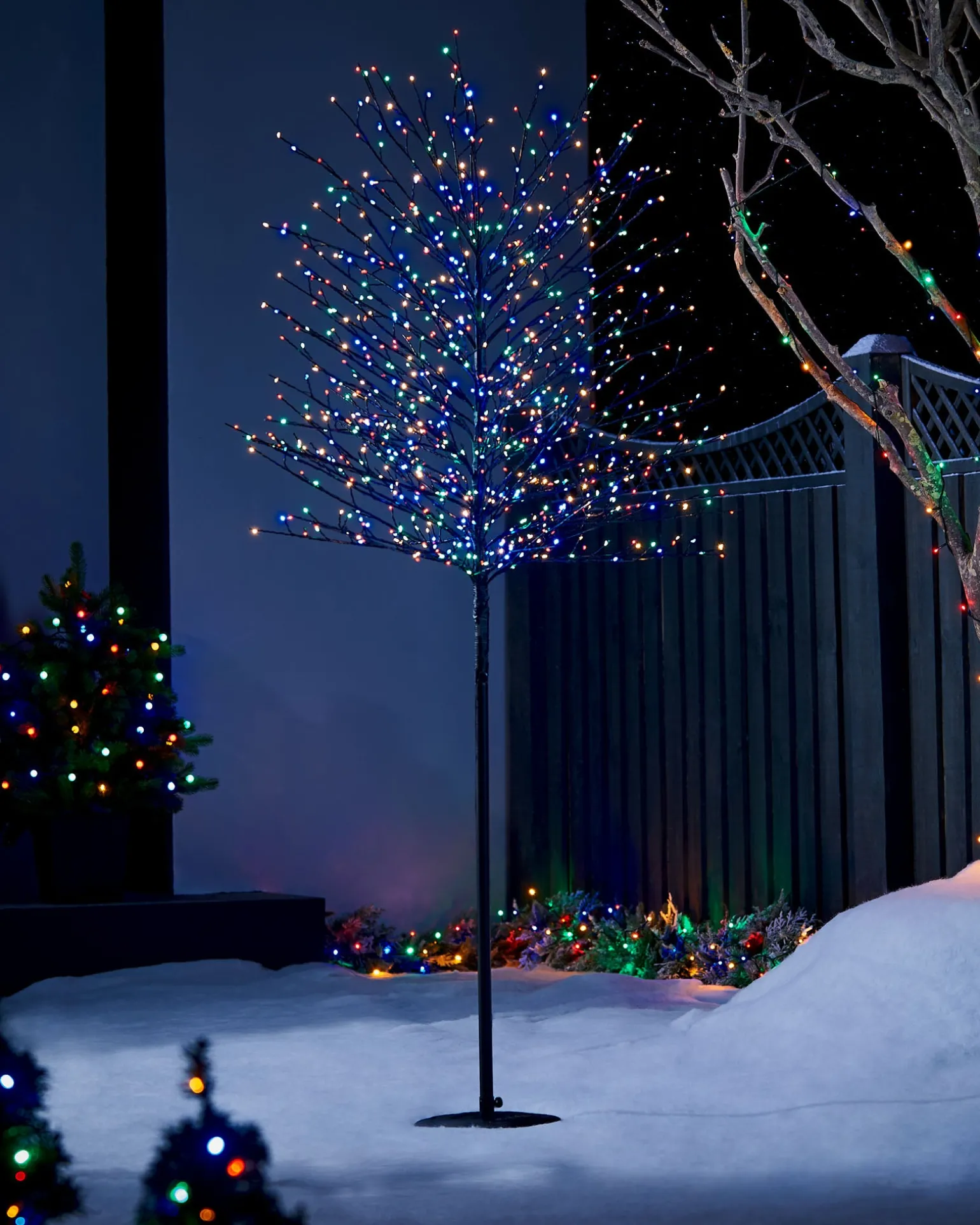 Multi-Coloured Twig Tree, 6 Ft