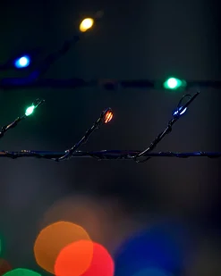 Multi-Coloured Twig Tree, 6 Ft