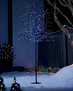 Multi-Coloured Twig Tree, 6 Ft