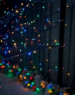 Multi-Coloured Twig Tree, 6 Ft