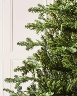 Nordmann Fir Christmas Tree, 6 Ft
