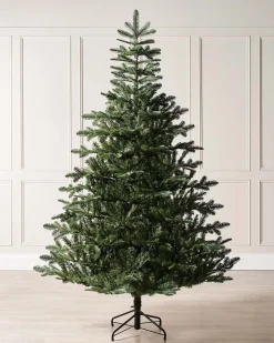 Nordmann Fir Christmas Tree, 6 Ft