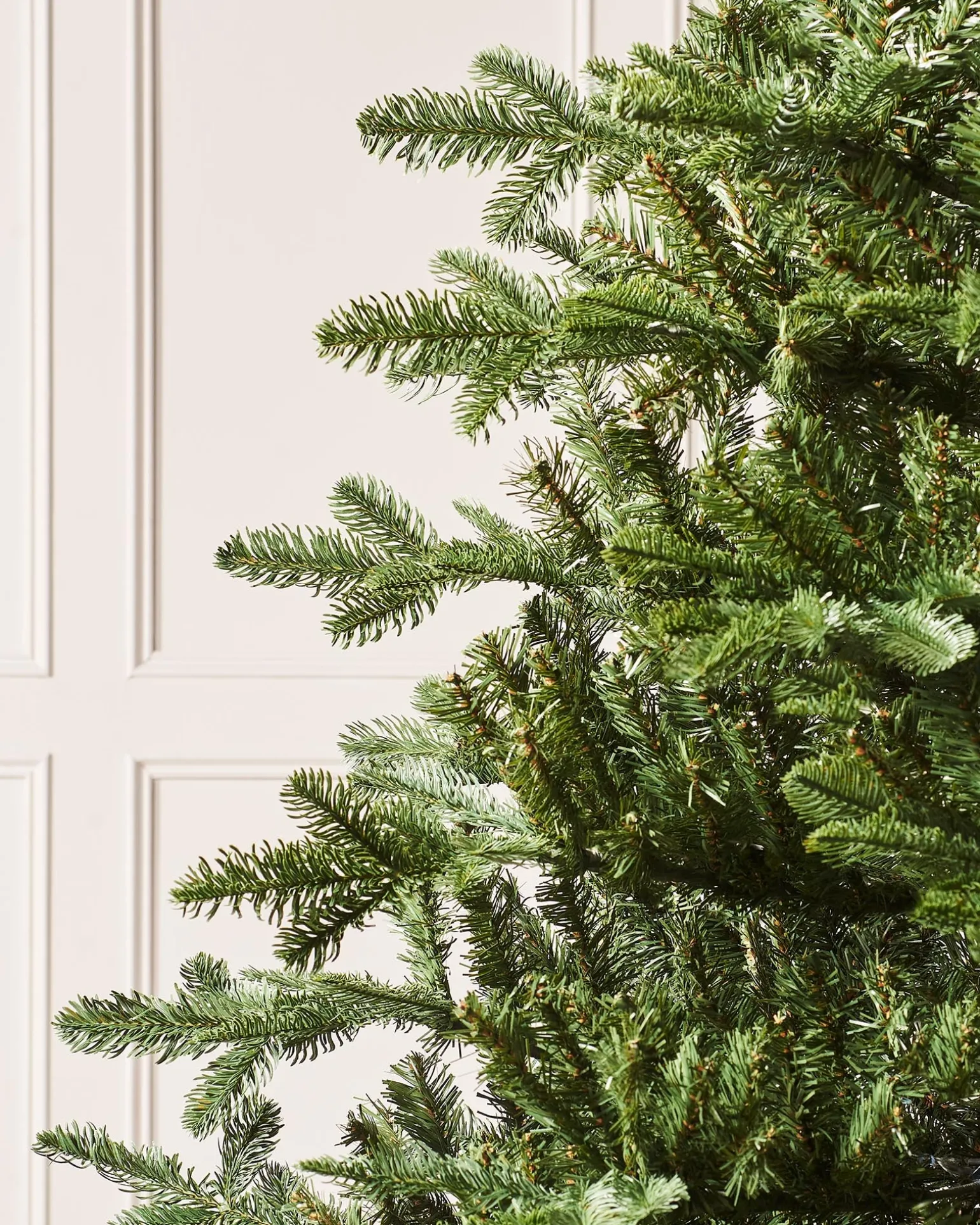 Nordmann Fir Christmas Tree, 7 Ft