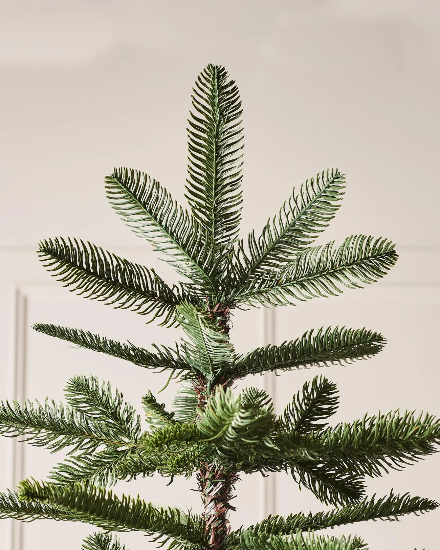Nordmann Fir Christmas Tree, 7 Ft
