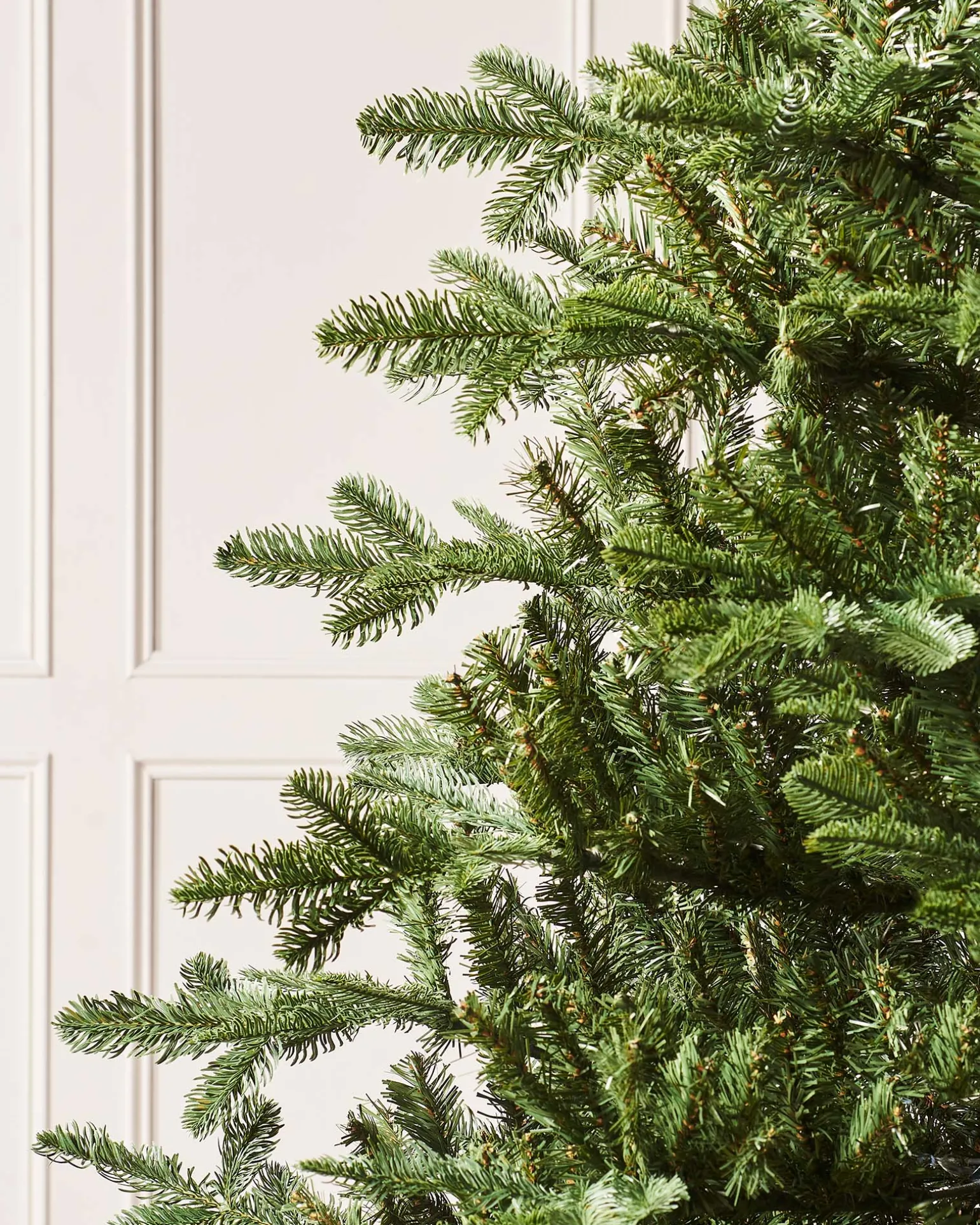 Nordmann Fir Christmas Tree, 8 Ft