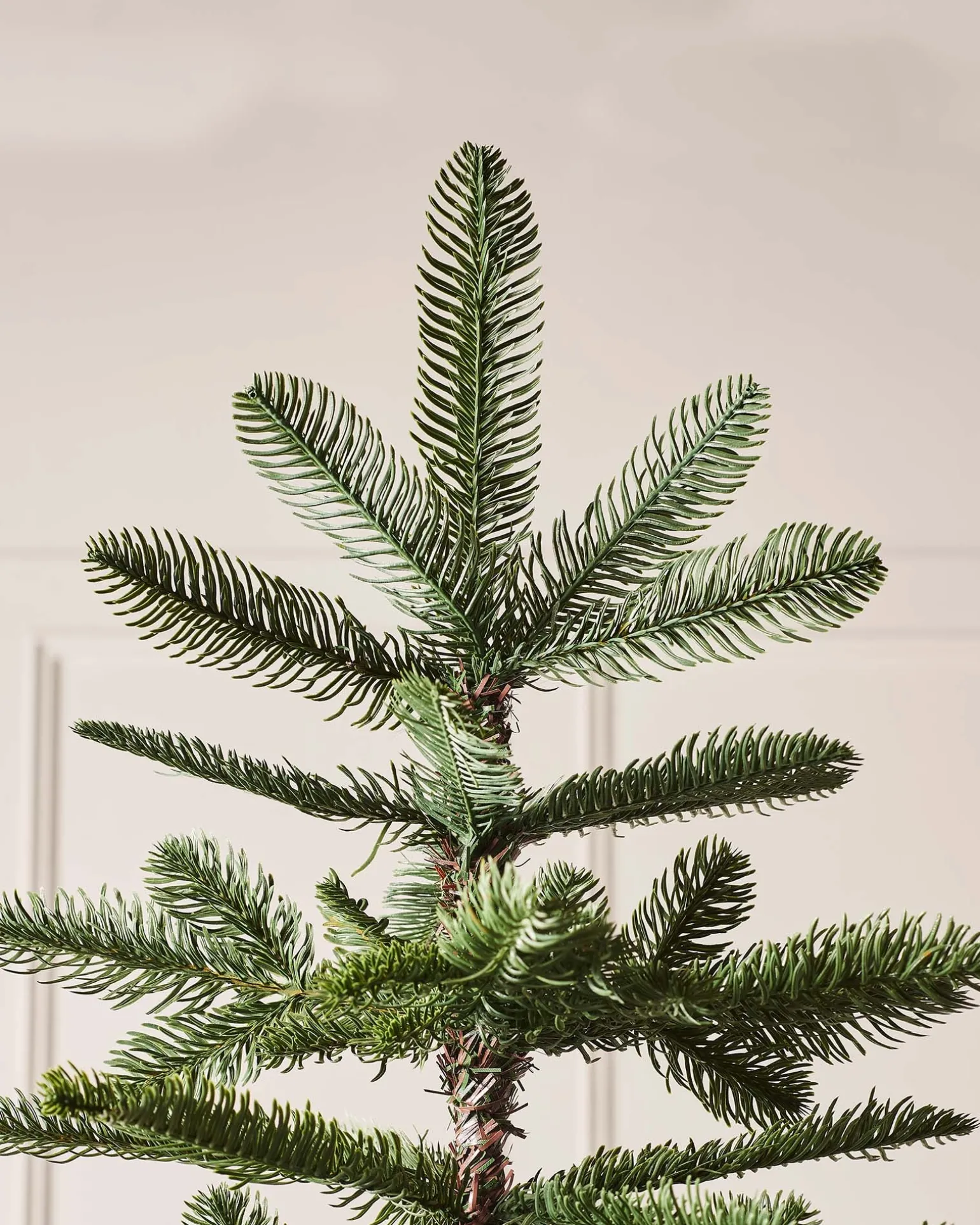 Nordmann Fir Christmas Tree, 8 Ft