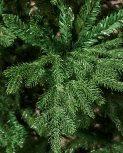 Northern Fir Christmas Tree, 6 Ft