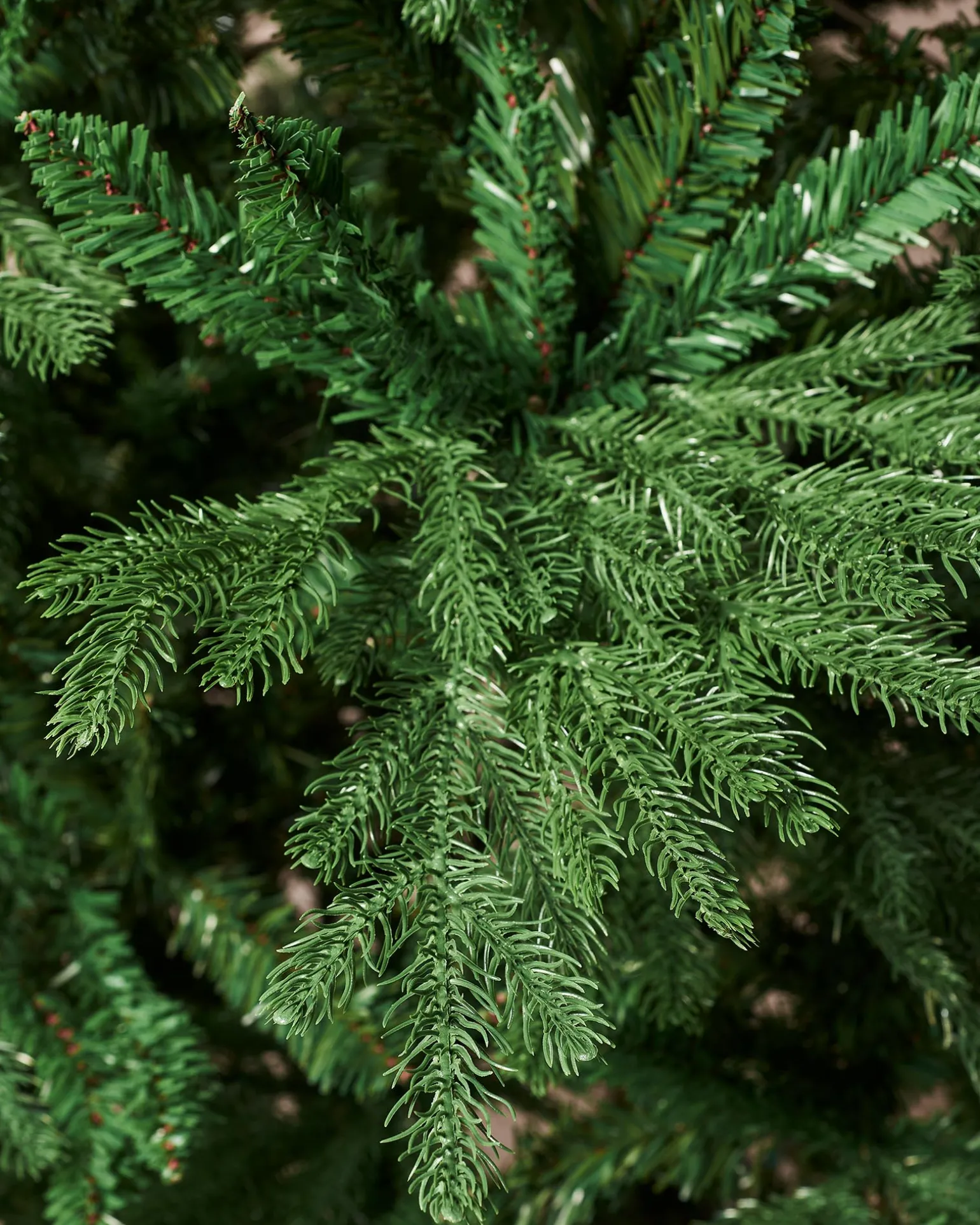 Northern Fir Christmas Tree, 7 Ft