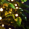 Outdoor Multi-Function 100 Berry LED Light String, Warm White