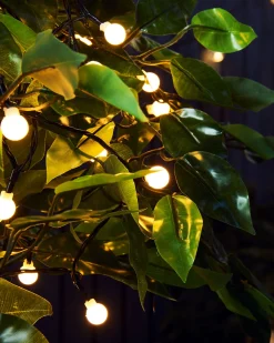 Outdoor Multi-Function 100 Berry LED Light String, Warm White