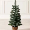 Potted Craford Blue Pine Decorated Christmas Tree, 3 Ft