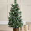 Potted Scandinavian Blue Spruce Christmas Tree, 3 Ft