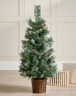 Potted Scandinavian Blue Spruce Christmas Tree, 3 Ft