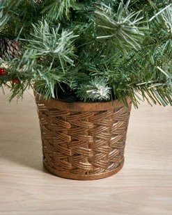 Potted Scandinavian Blue Spruce Christmas Tree, 3 Ft