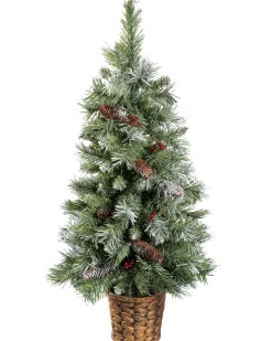 Potted Scandinavian Blue Spruce Christmas Tree, 3 Ft