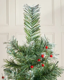 Potted Scandinavian Blue Spruce Christmas Tree, 3 Ft