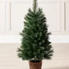 Potted Victorian Pine Christmas Tree, 3 Ft