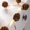 Pre-Lit 20 LED Pinecone Light String Garland, 6 Ft