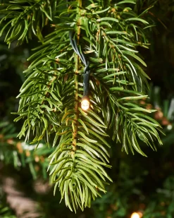 Pre-Lit Balsam Fir Christmas Tree, 8 Ft