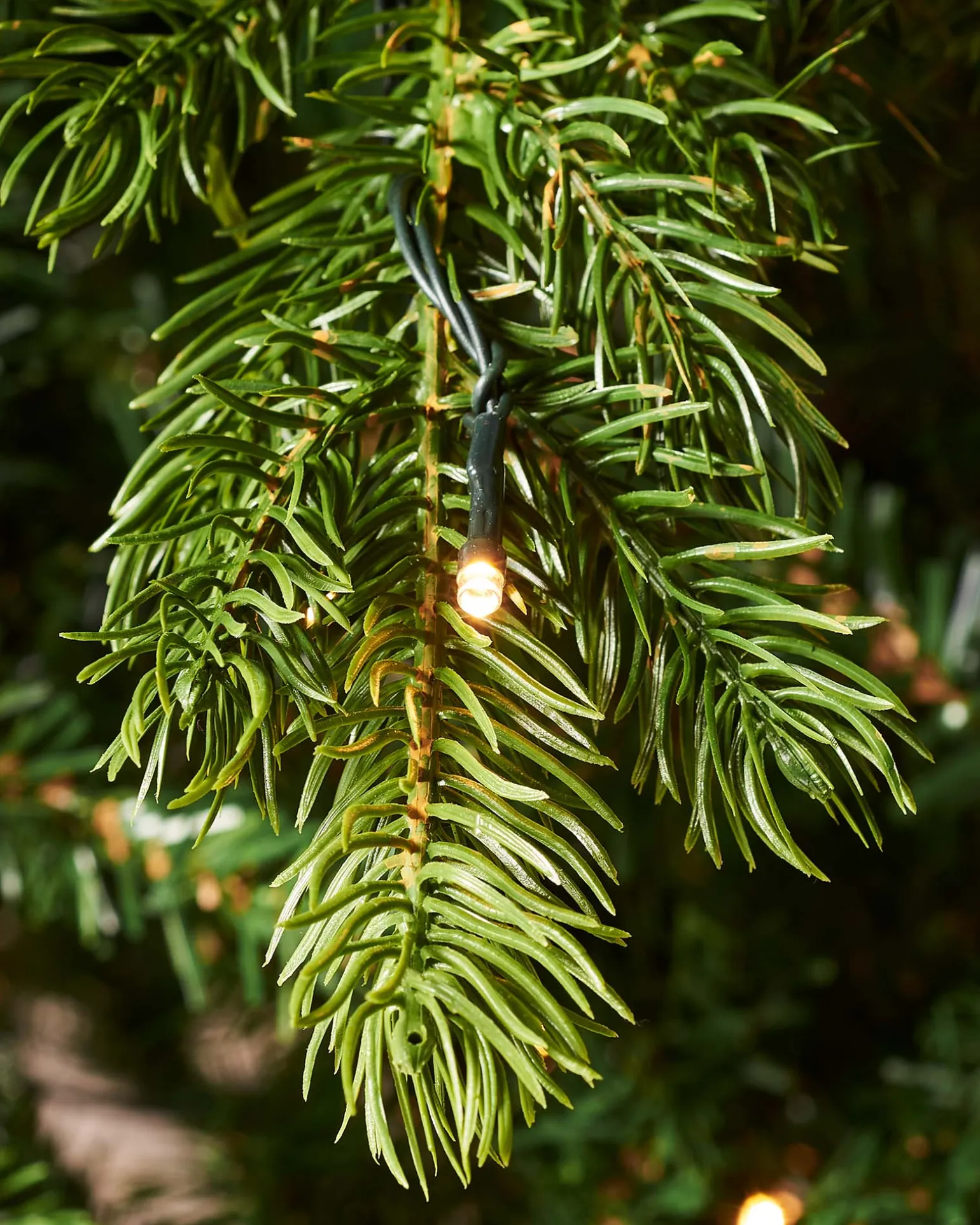 Pre-Lit Balsam Fir Christmas Tree, 8 Ft