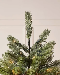 Pre-Lit Craford Pine Christmas Tree, 5 Ft