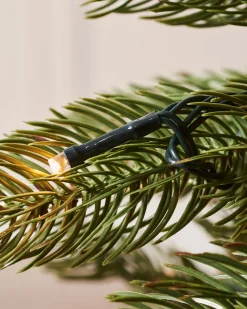 Pre-Lit Craford Pine Christmas Tree, 7 Ft