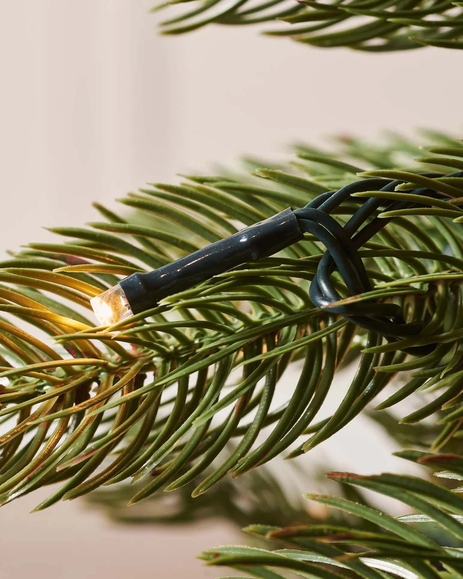 Pre-Lit Craford Pine Christmas Tree, 8 Ft