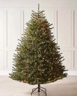 Pre-Lit Foxtail Pine Christmas Tree, 6 Ft