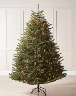 Pre-Lit Foxtail Pine Christmas Tree, 7 Ft