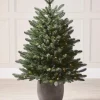 Pre-Lit Frosted Potted Christmas Tree, 3.5 Ft