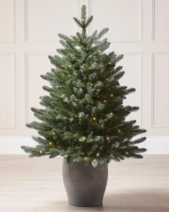Pre-Lit Frosted Potted Christmas Tree, 3.5 Ft