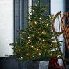 Pre-Lit Grand Fir Potted Christmas Tree, 4 Ft