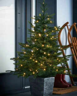 Pre-Lit Grand Fir Potted Christmas Tree, 4 Ft