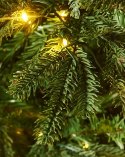Pre-Lit Grand Nordmann Fir Christmas Tree, 6 Ft