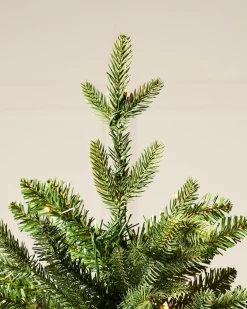 Pre-Lit Himalayan Fir Christmas Tree, 7 Ft