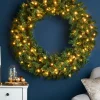 Pre-Lit Majestic Wreath, 1 M