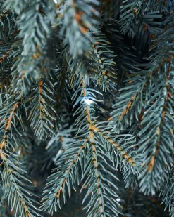 Pre-Lit Mixed Pine Blue Christmas Tree, Dual LED White, 7 Ft