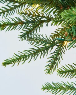 Pre-Lit Multi-Function Douglas Fir Wreath, 60 Cm