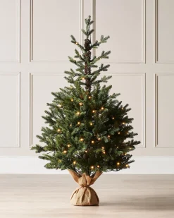 Pre-Lit Norway Spruce Potted Christmas Tree, 3 Ft