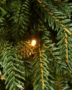 Pre-Lit Norway Spruce Potted Christmas Tree, 5 Ft