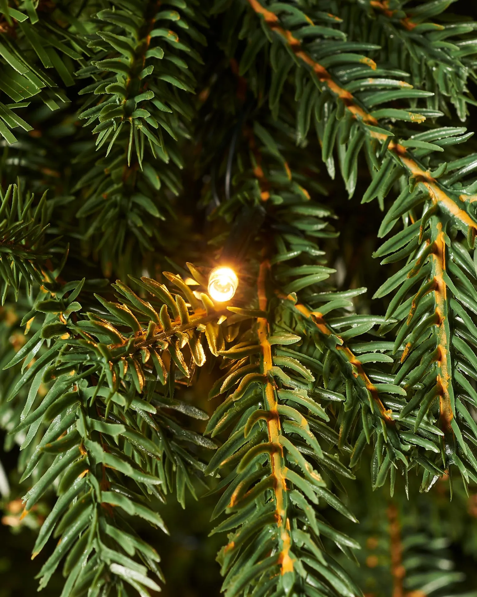 Pre-Lit Norway Spruce Potted Christmas Tree, 5 Ft