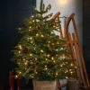 Pre-Lit Potted Alaskan Fir Christmas Tree, 4 Ft