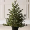 Pre-Lit Potted Douglas Fir Christmas Tree, 3 Ft