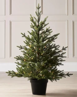 Pre-Lit Potted Douglas Fir Christmas Tree, 3 Ft