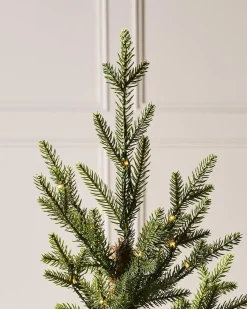 Pre-Lit Potted Douglas Fir Christmas Tree, 3 Ft