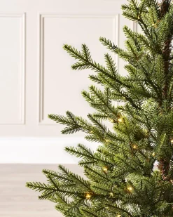 Pre-Lit Potted Douglas Fir Christmas Tree, 3 Ft